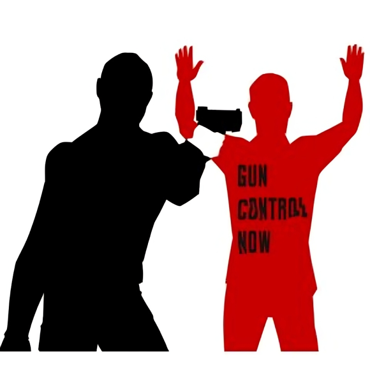 Gun Control Now Poster